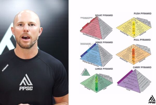 Pain Free Training - Pain‑Free Performance Certification